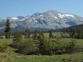 View of Dana Meadows looking west