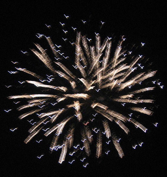 File:2006 Fireworks 7..JPG