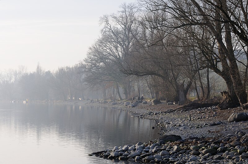 File:2014-01-01 14-11-09 Switzerland Kanton Thurgau Diessenhofen Dörflingen, Laag.JPG