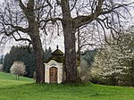 2 winter linden trees