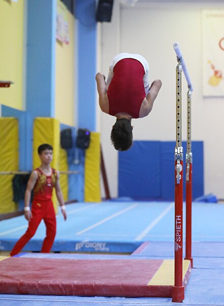 File:2019-11-30 OHC Liberec 2019 MAG Apparatus finals Parallel bars (Martin Rulsch) 285.jpg