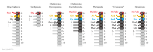 20191107 Panarthropoda head segments appendages extant en.png