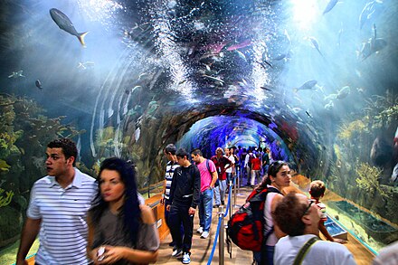 Visitors in underwater tunnel of L’Oceanogràfic aquarium in Valencia, Spain