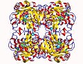 Thumbnail for L-threonine 3-dehydrogenase