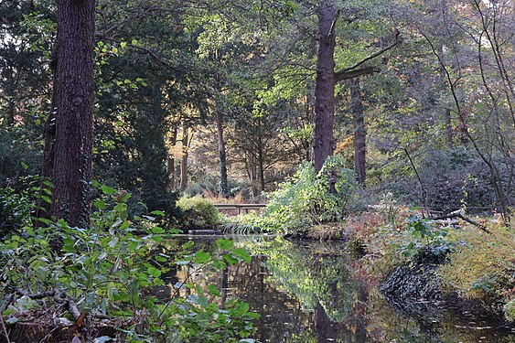 pond in Aschaffenburg