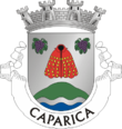 Vlag van Caparica