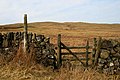 A gate in a drystane dyke at Monybuie - geograph.org.uk - 1741870.jpg