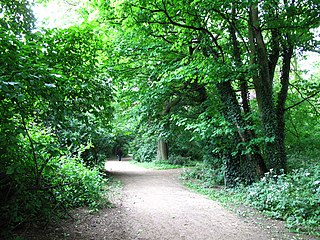 <span class="mw-page-title-main">Hull General Cemetery</span> Cemetery in Kingston upon Hull, East Riding of Yorkshire, England