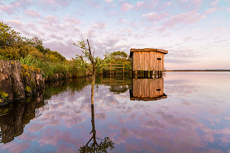 Abendstimmung am Hohner See