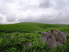Akiyoshidai-Quasi-Nationalpark