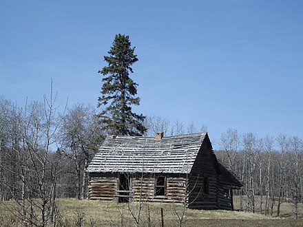 Alberta Homestead