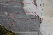 English: Rock art in the world heritage area in Alta, Norway. This is from the area Bergbukten 1, a group of some 900 figures. 23-25 m above sea level, and 6000-7000 years old.