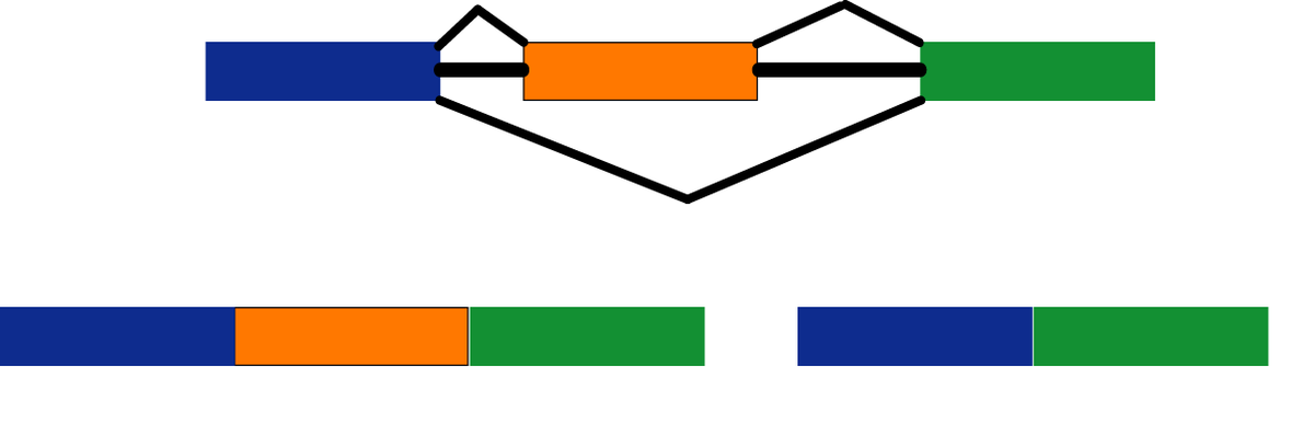 File:Cut splice.PNG - Wikimedia Commons