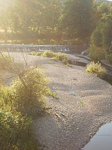 Low level of water in river Lahn (photo)