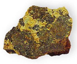 Amphibole - Cummingtonite w- chlorite in schist Magnesium iron silicate 3800 foot level Homestake Mine Lawrence COunty South Dakota 2071.jpg