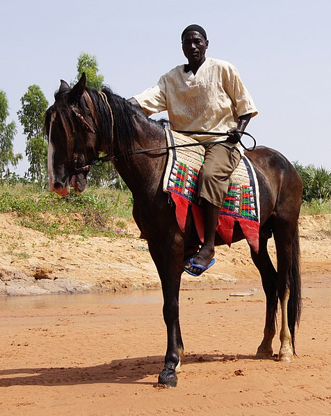 File:Aréwa - Dongola, Niger.jpg