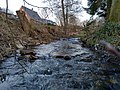 Aubach bei sehr niedrigem Wasserpegel