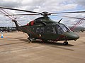 Миниатюра для AgustaWestland AW139