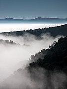 Badaia - Vistas con niebla -BT- 01