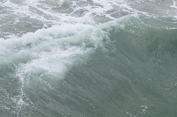 Waves of the Baltic sea near Zingst peninsula