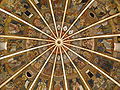 Baptistry of Parma Ceiling.jpg