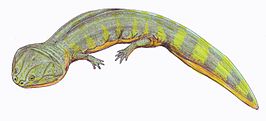 Batrachosuchus
