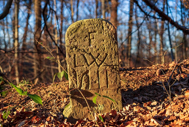 File:Beilstein - Kaisersbach - historischer Grenzstein Nr. 11 am Waldweg nach Stocksberg (1).jpg