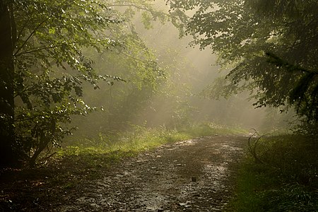 Beskid Mały mountains, Poland