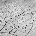Bevloeiingswerken in Galilea Door droogte gebarsten aarde, Bestanddeelnr 255-4808.jpg
