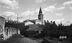 Biljana (pogled na Dorišča) 1953.jpg