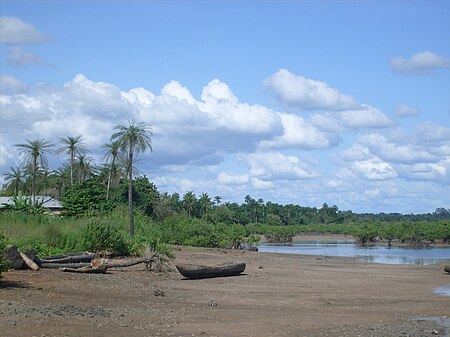 Biombo coastal mangrove.jpg