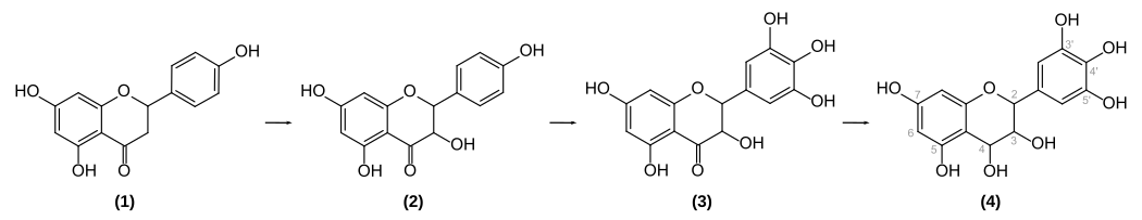 Biosynthese von Delphinidin-3-O-glucosid