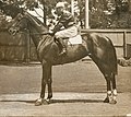 Thumbnail for File:Biplane 1917 AJC &amp; VRC Derby Jockey B Deeley Trainer Tom Scully.jpg