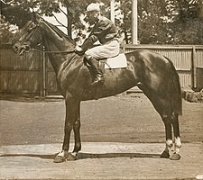 Biplane 1917 AJC & VRC Derby Jockey B Deeley Trainer Tom Scully.jpg