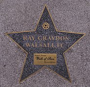 Birmingham Walk of Stars Ray Graydon