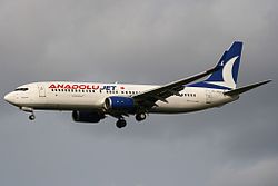 Eine Boeing 737-800 der AnadoluJet