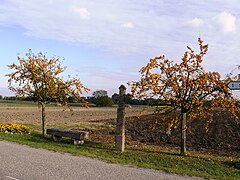 Ancien calvaire au bord de la route à l'entrée du village.