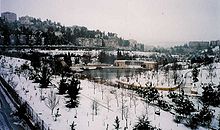 Jerusalem Botanical Gardens in the snow BotanicoJerusa.jpg