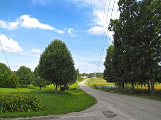 <span class="mw-page-title-main">Bowman, Tennessee</span> Census-designated place in Tennessee, United States