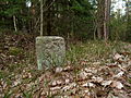 Čeština: Patník s datací 1876 v Branišovském lese, okres České Budějovice. English: Roadside stone dated 1876 in Branišovský les (Branišov Forest), České Budějovice District, South Bohemian Region, Czech Republic.