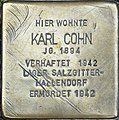 wikimedia_commons=File:Braunschweig Höhe 3 Stolperstein Karl Cohn.jpg image=File:Braunschweig Höhe 3 Stolperstein Karl Cohn.jpg