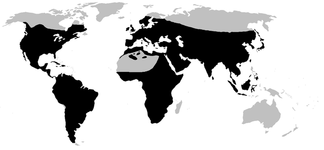 Distribución dos sapos (en negro)