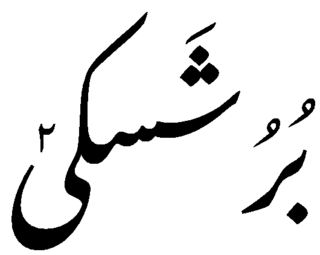 <span class="mw-page-title-main">Burushaski</span> Language isolate spoken by Burusho people