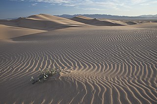 Dune A hill of loose sand built by aeolian processes or the flow of water