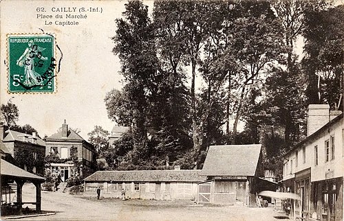 Rideau métallique Cailly (76690)