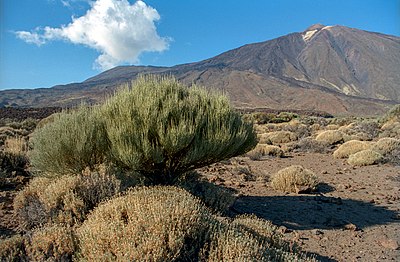 The Teide National Park, on the island of Tenerife is the most visited national park in Spain.[13][14]