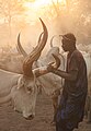 * Nomination Cattle camp of the Mundari tribe, Terekeka, South Sudan --Poco a poco 17:21, 4 March 2024 (UTC) * Promotion  Support Good quality. --GoldenArtists 18:02, 4 March 2024 (UTC)