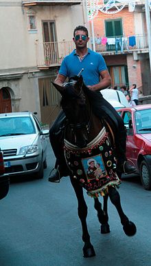 Cavallo per le vie cittadine