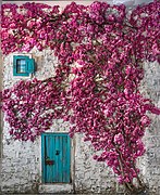 Fotografía frontal del mural “Capricho en Rosa nº5” de Marta Torres