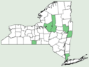 Carex conjuncta NY-dist-map.png